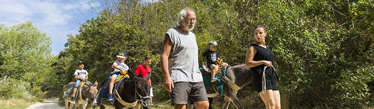 Bannière newsletter