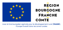 logo europe et region bourgogne franche comté
